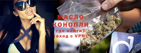 мет Ельня
