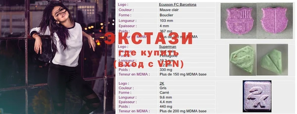 мет Ельня