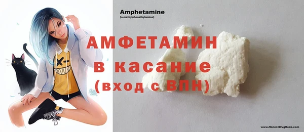 прущие грибы Елабуга