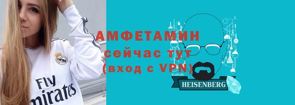 мет Ельня