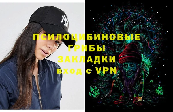 прущие грибы Елабуга