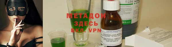 прущие грибы Елабуга