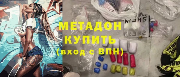 прущие грибы Елабуга