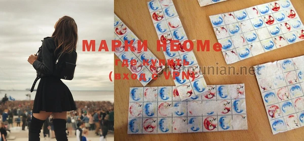 мет Ельня
