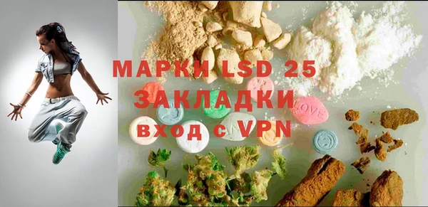 мет Ельня
