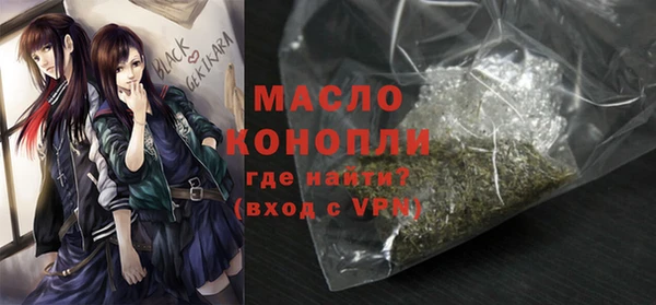 прущие грибы Елабуга