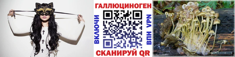 Псилоцибиновые грибы Cubensis  Купить  Салехард 